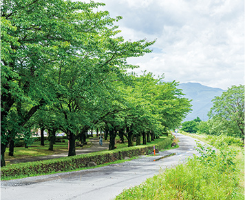 荒川桜づつみ河川公園